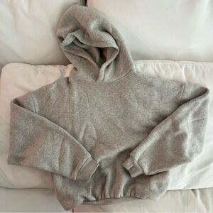 ARITZIA BABATON Hoodie